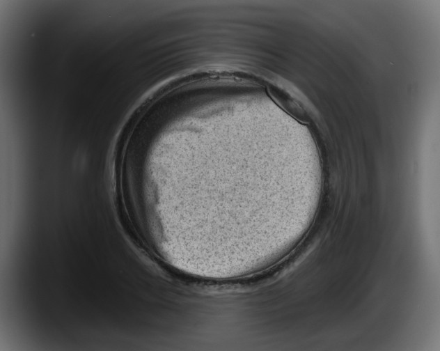 X0000087550934200705251737