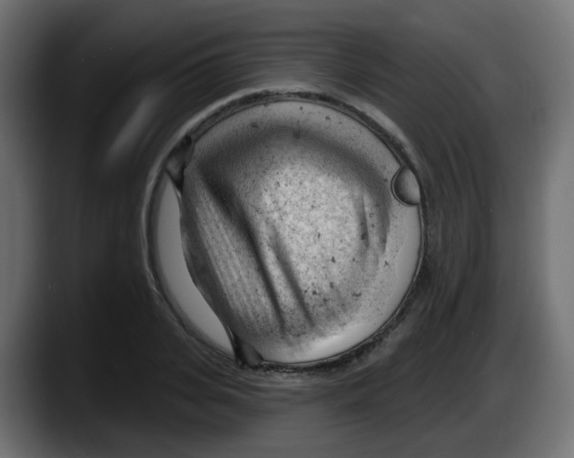 X0000087550935200705251737