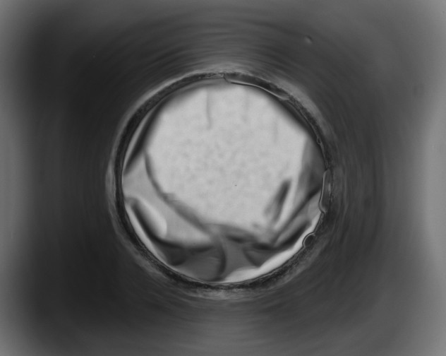 X0000087550936200705251737