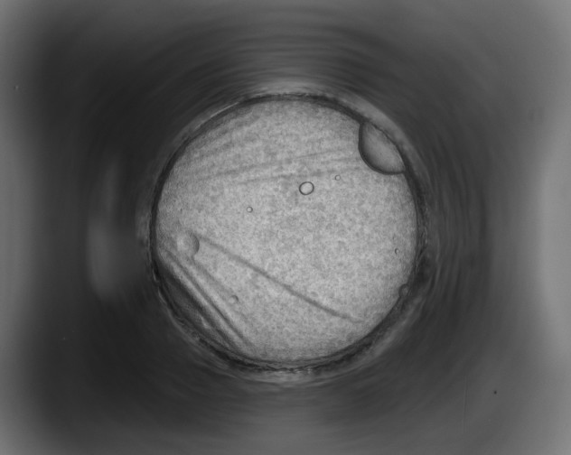 X0000087550937200705251737