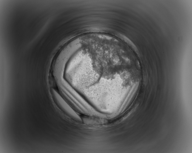 X0000087550938200705251737