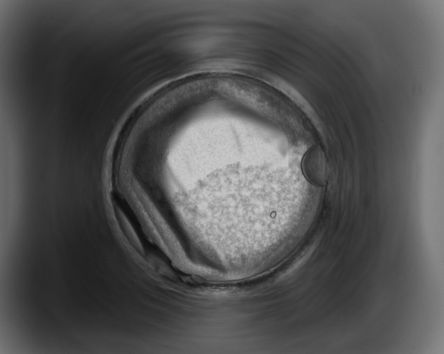 X0000087550939200705251737