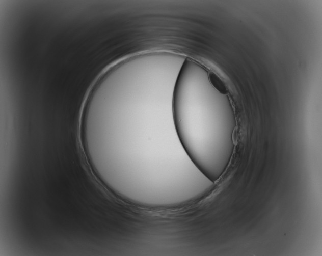 X0000087550940200705251737
