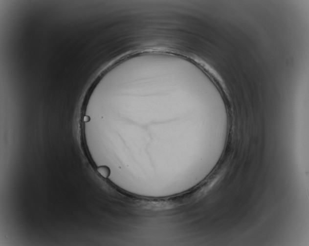 X0000087550941200705251737