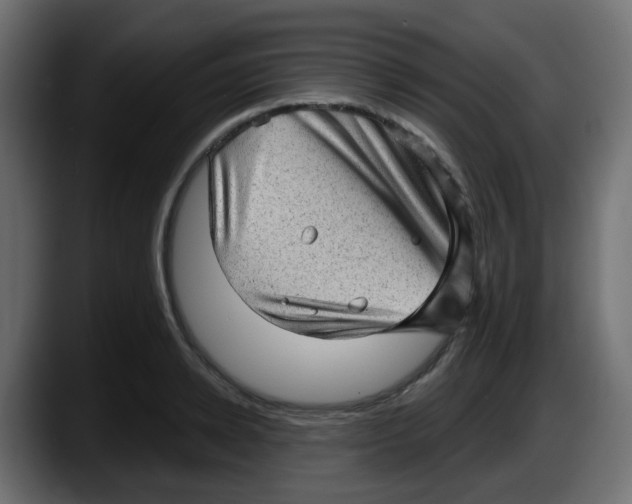 X0000087550942200705251737