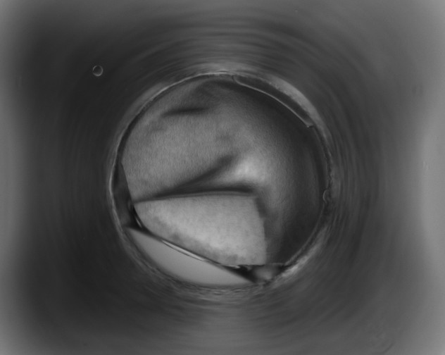 X0000087550946200705251737