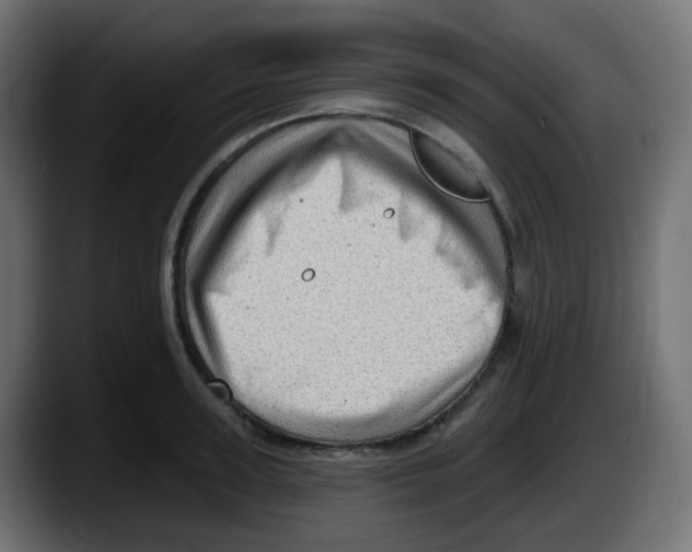 X0000087550947200705251737