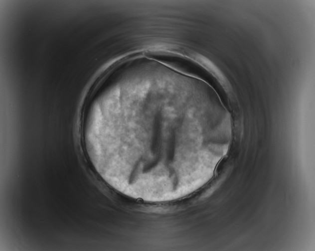 X0000087550948200705251737