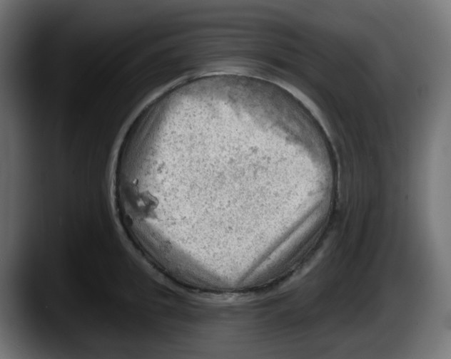 X0000087550949200705251737