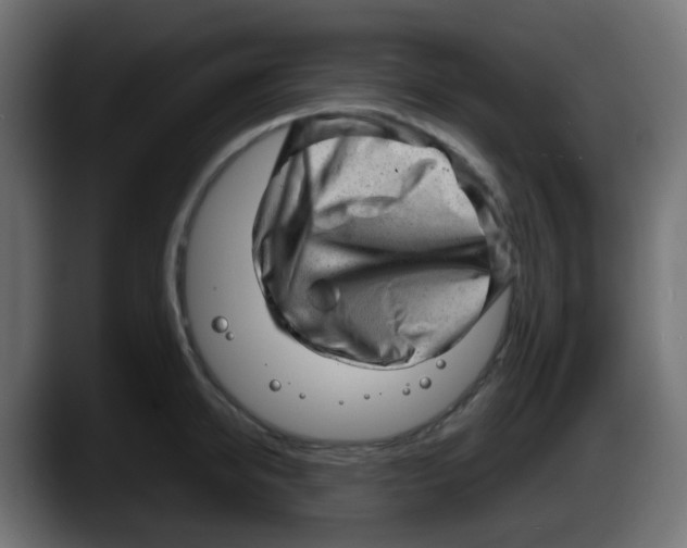 X0000087550950200705251737