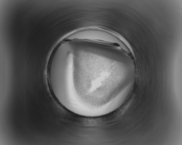 X0000087550951200705251737