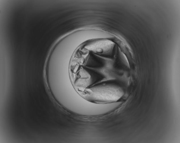 X0000087550952200705251737