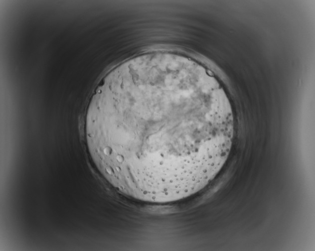 X0000087550953200705251737