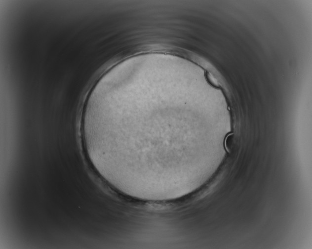 X0000087550954200705251737