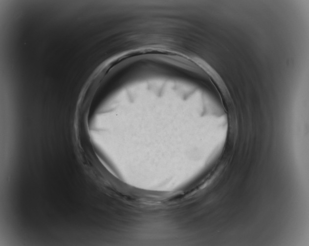 X0000087550956200705251737