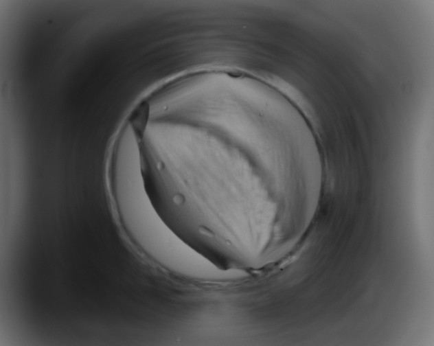 X0000087550958200705251737