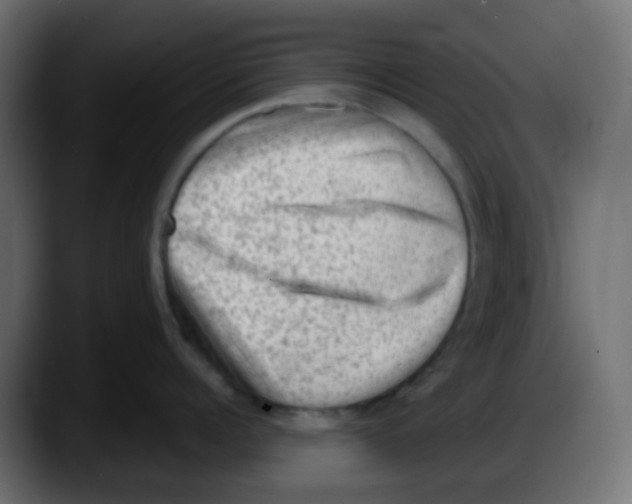 X0000087550960200705251737
