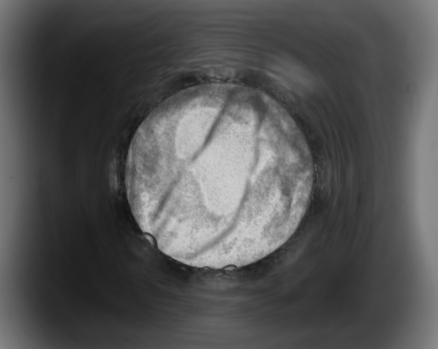 X0000087550962200705251737