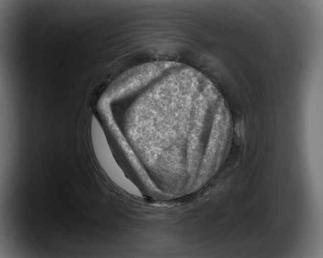 X0000087550963200705251737