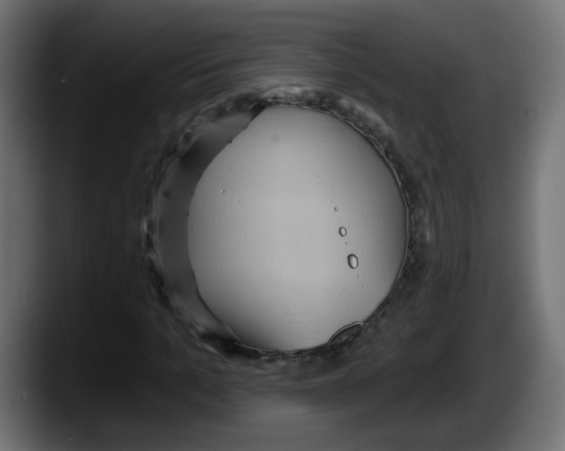 X0000087550965200705251737