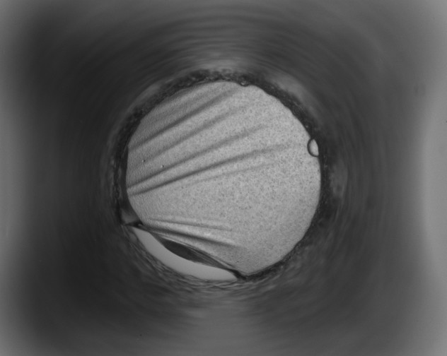 X0000087550968200705251737