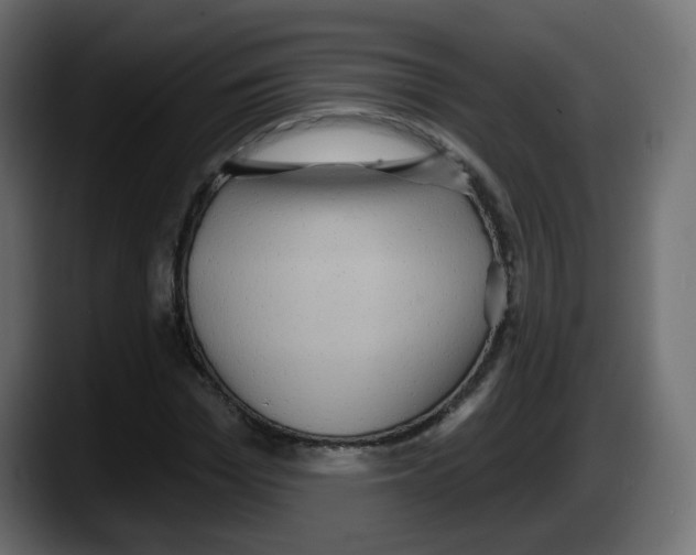 X0000087550969200705251737