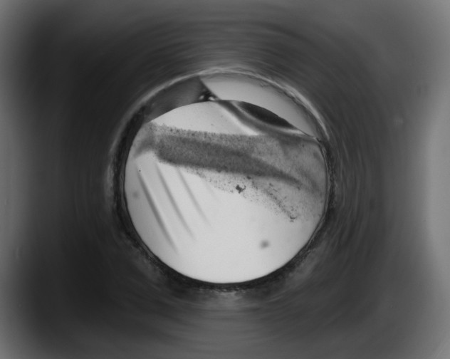 X0000087550975200705251737