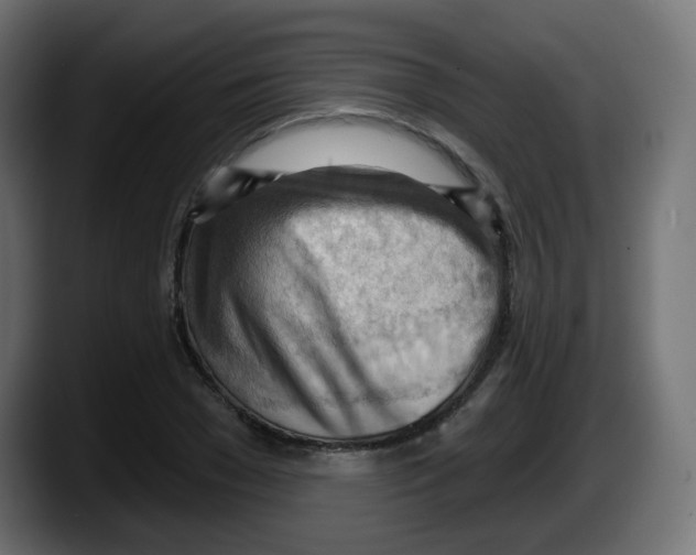 X0000087550977200705251737