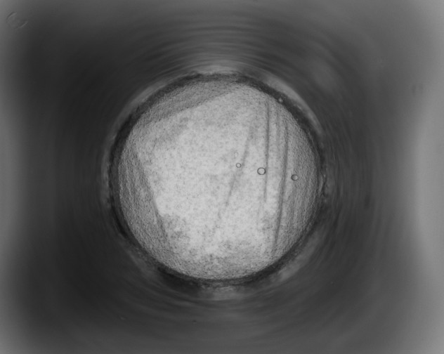 X0000087550978200705251737