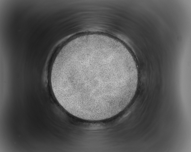 X0000087550979200705251737