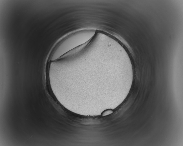 X0000087550980200705251737