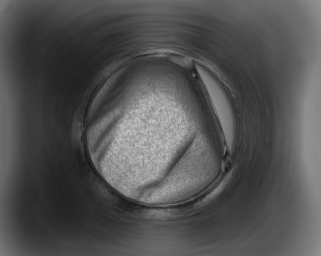 X0000087550985200705251737