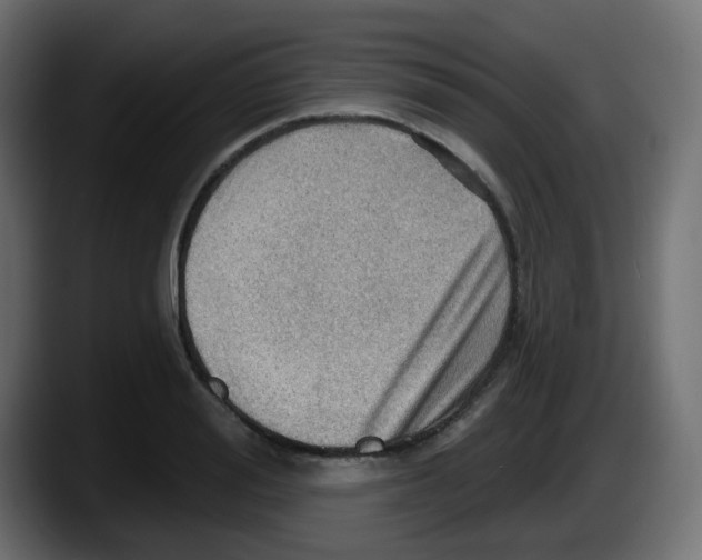 X0000087550988200705251736