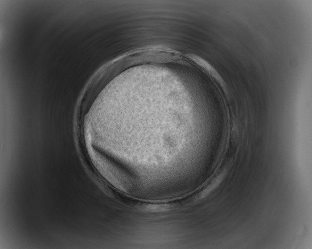 X0000087550989200705251736