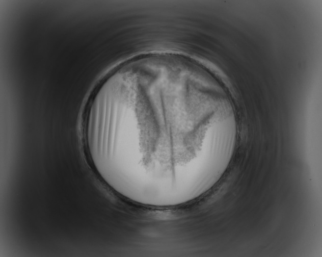 X0000087550990200705251736