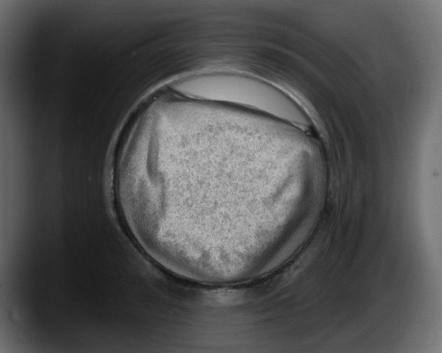 X0000087550992200705251736