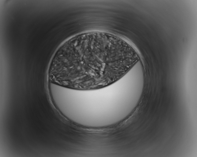 X0000087550996200705251736