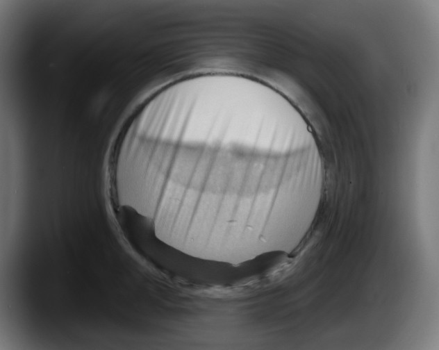 X0000087550998200705251736