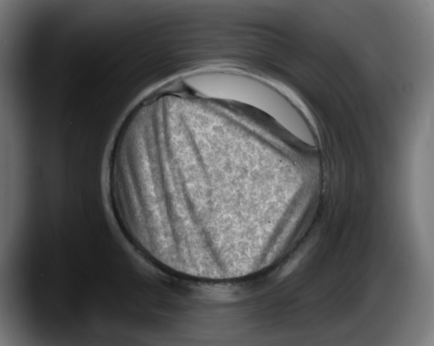 X0000087550999200705251736