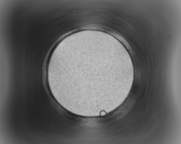 X0000087551000200705251736