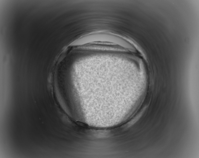 X0000087551001200705251736