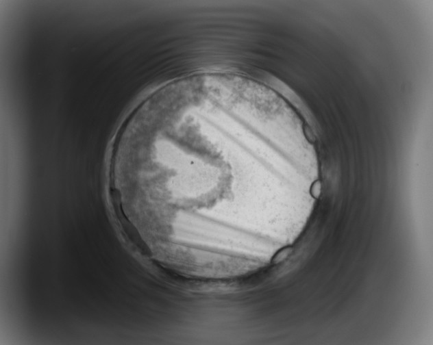 X0000087551002200705251736