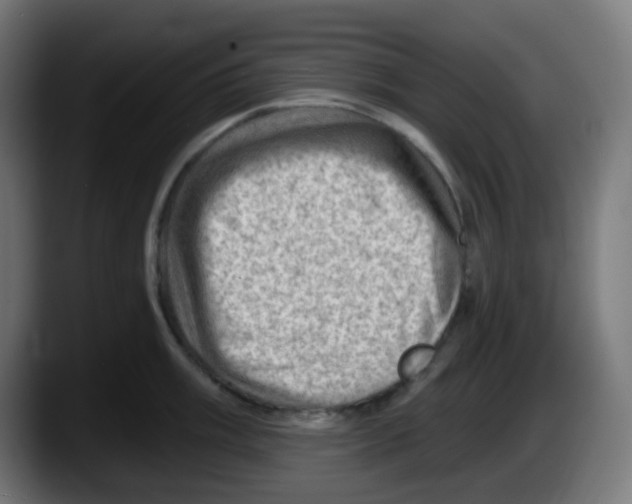 X0000087551003200705251736