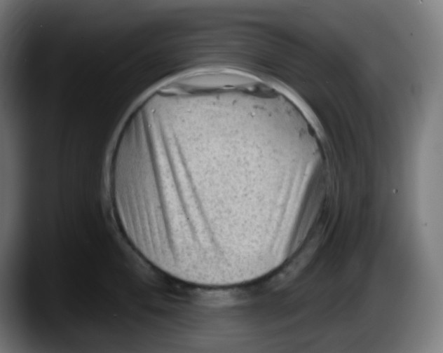 X0000087551004200705251736