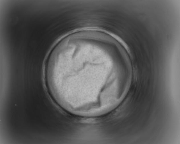 X0000087551006200705251736