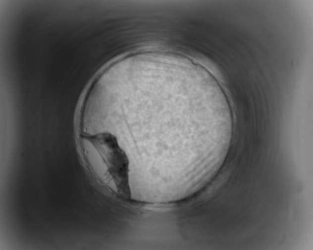 X0000087551008200705251736