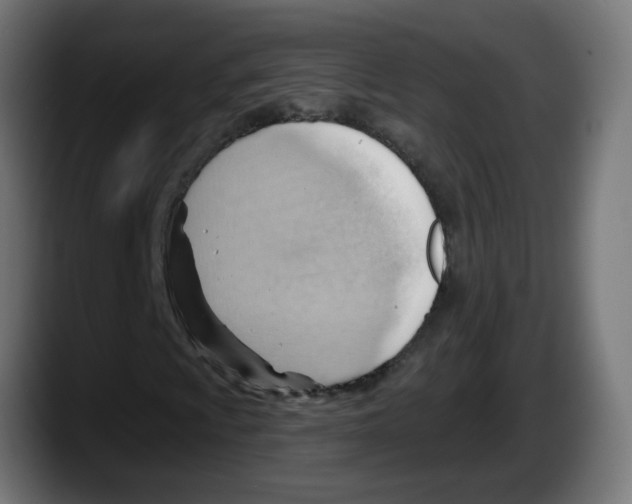 X0000087551009200705251736