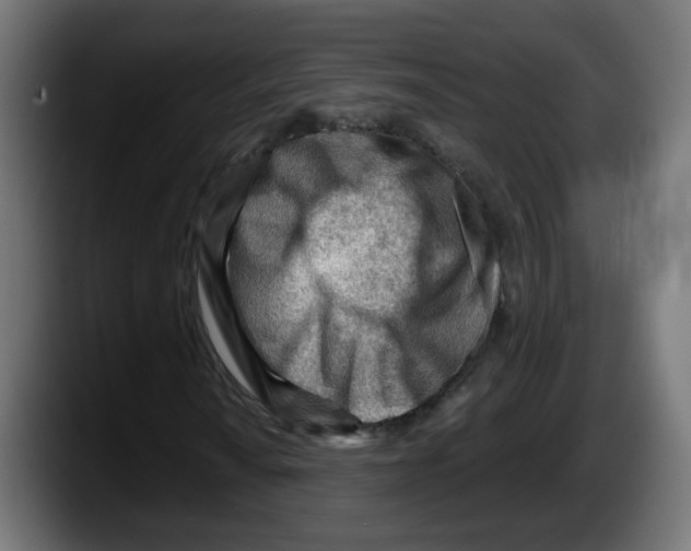 X0000087551010200705251736