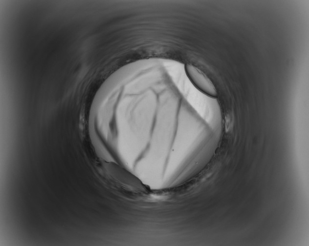 X0000087551011200705251736