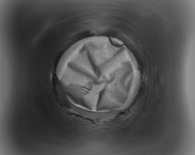 X0000087551012200705251736